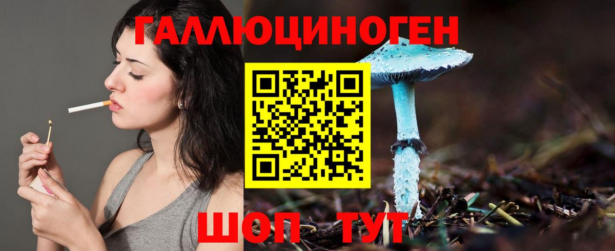 Гусь-Хрустальный  Галлюциногенные грибы MAGIC MUSHROOMS  Вход с VPN 